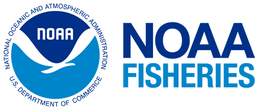 NOAA Logo